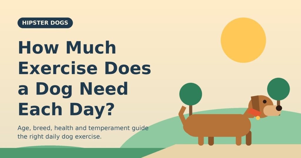 How much exercise does a dog need? Illustration of a dog walking in a sunny park